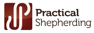 Practical Shepherding